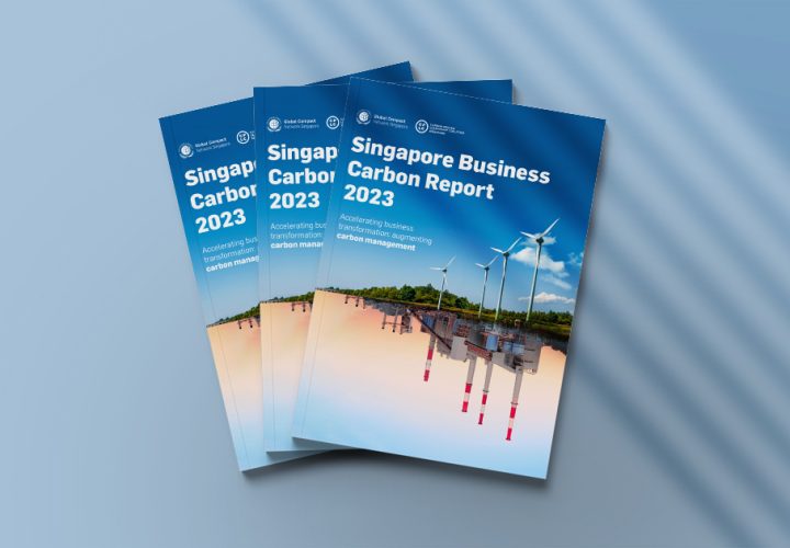 Corporate Sustainability Reporting